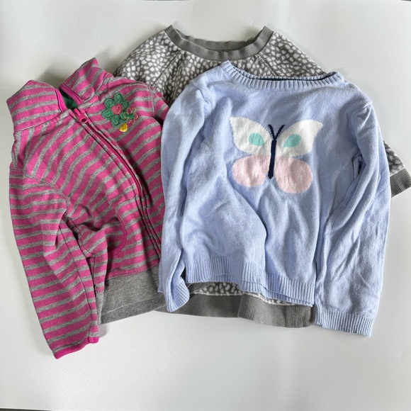 Bundle of 2T Girls Tops Sweater Hoodie Sweatshirt Baby Gap Carter’s Fall Winter - Picture 1 of 13